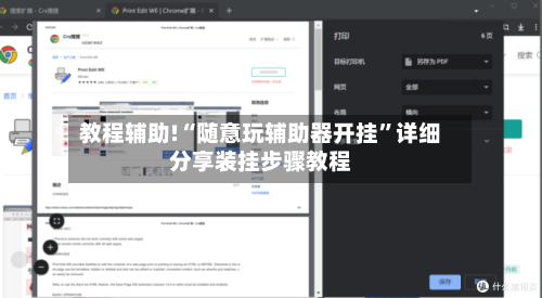 教程辅助!“随意玩辅助器开挂”详细分享装挂步骤教程-第3张图片