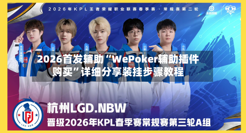 2026首发辅助“WePoker辅助插件购买”详细分享装挂步骤教程-第2张图片