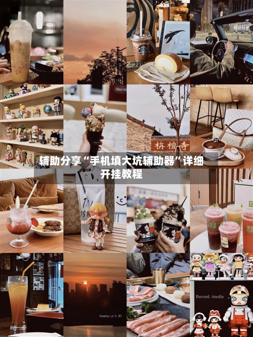 辅助分享“手机填大坑辅助器”详细开挂教程-第3张图片