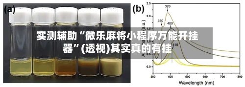 实测辅助“微乐麻将小程序万能开挂器”(透视)其实真的有挂-第2张图片