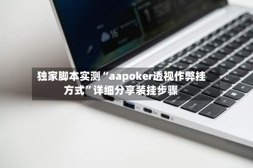 独家脚本实测“aapoker透视作弊挂方式”详细分享装挂步骤-第2张图片