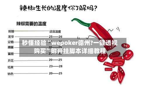 秒懂经验“wepoker德州?一键透视购买”附开挂脚本详细教程-第3张图片