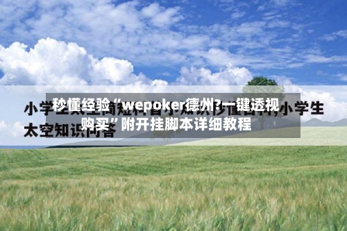秒懂经验“wepoker德州?一键透视购买”附开挂脚本详细教程-第2张图片