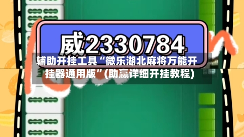 辅助开挂工具“微乐湖北麻将万能开挂器通用版	”(助赢详细开挂教程)-第3张图片