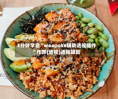 3分钟学会“waapoke辅助透视插件”作弊(透视)透视辅助-第2张图片