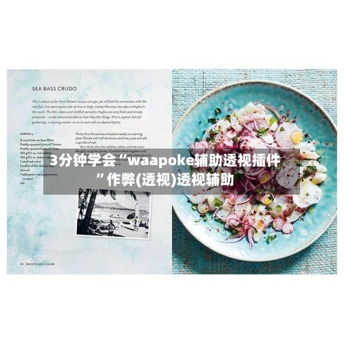 3分钟学会“waapoke辅助透视插件”作弊(透视)透视辅助-第3张图片