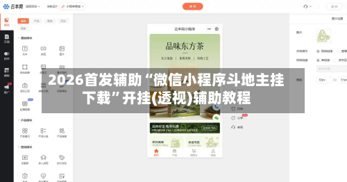 2026首发辅助“微信小程序斗地主挂下载”开挂(透视)辅助教程-第2张图片