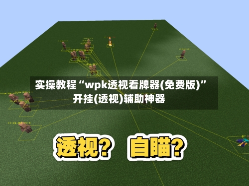 实操教程“wpk透视看牌器(免费版)”开挂(透视)辅助神器-第3张图片