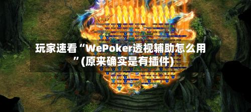 玩家速看“WePoker透视辅助怎么用	”(原来确实是有插件)-第3张图片