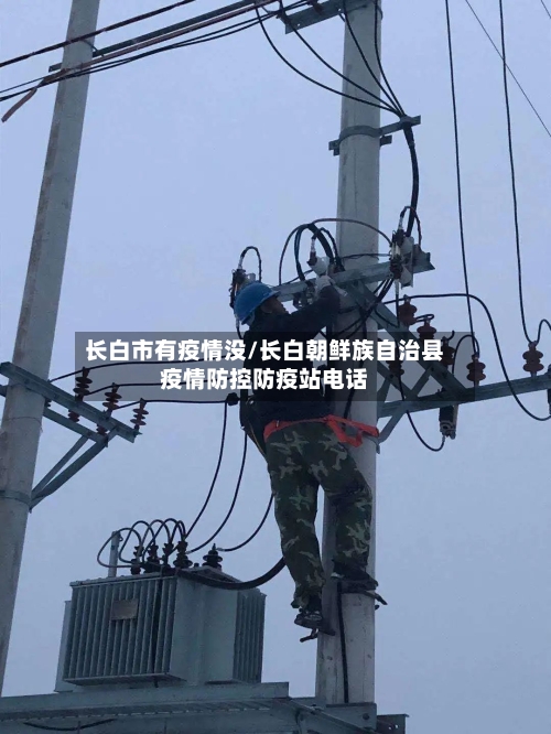 长白市有疫情没/长白朝鲜族自治县疫情防控防疫站电话-第2张图片