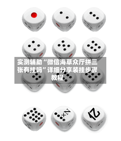 实测辅助“微信海草众厅拼三张有挂吗”详细分享装挂步骤教程-第2张图片