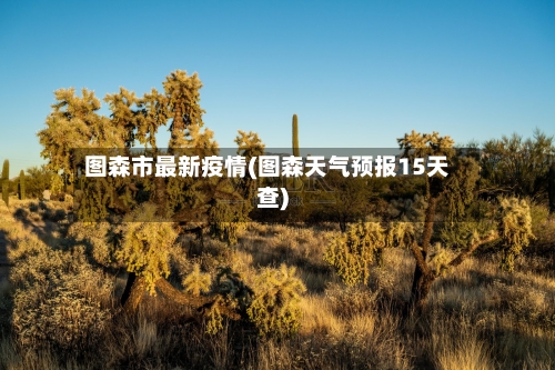 图森市最新疫情(图森天气预报15天查)-第2张图片