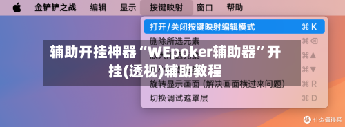辅助开挂神器“WEpoker辅助器”开挂(透视)辅助教程-第2张图片