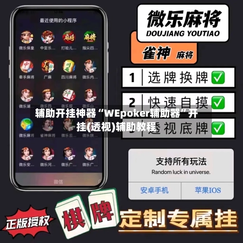 辅助开挂神器“WEpoker辅助器	”开挂(透视)辅助教程-第3张图片