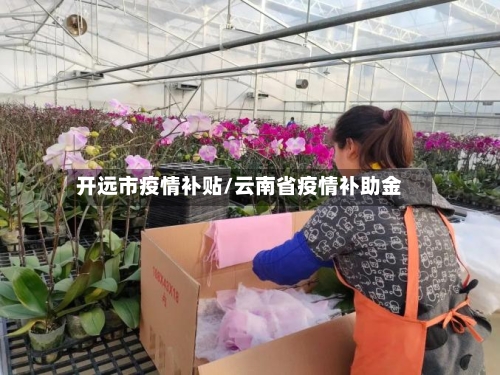 开远市疫情补贴/云南省疫情补助金