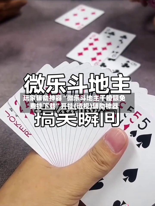 玩家辅助神器“微乐斗地主干瞪眼免费挂下载”开挂(透视)辅助神器-第3张图片