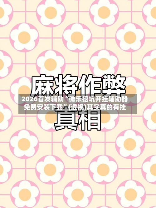 2026首发辅助“微乐挖坑开挂辅助器免费安装下载”(透视)其实真的有挂-第2张图片