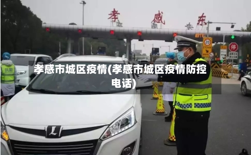 孝感市城区疫情(孝感市城区疫情防控电话)-第3张图片