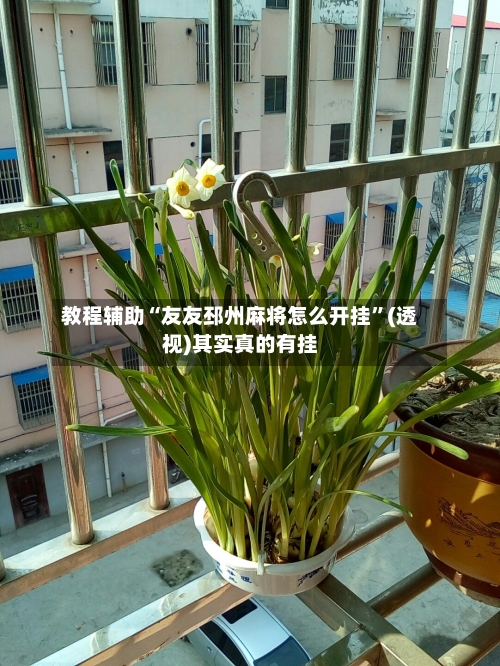 教程辅助“友友邳州麻将怎么开挂”(透视)其实真的有挂-第3张图片