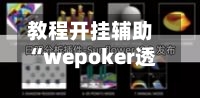 教程开挂辅助“wepoker透视挂使用教程”详细开挂教程-第3张图片