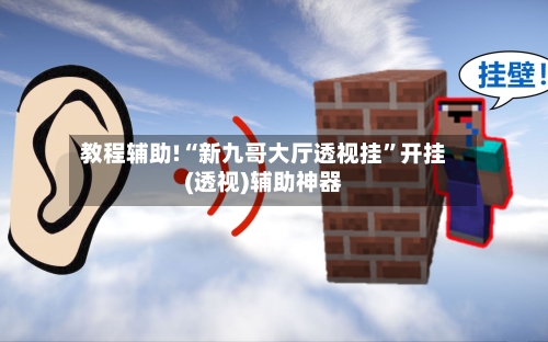 教程辅助!“新九哥大厅透视挂”开挂(透视)辅助神器-第3张图片