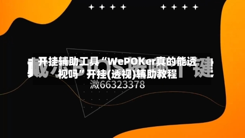 开挂辅助工具“WePOKer真的能透视吗”开挂(透视)辅助教程-第3张图片