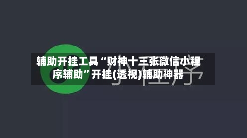 辅助开挂工具“财神十三张微信小程序辅助”开挂(透视)辅助神器-第3张图片