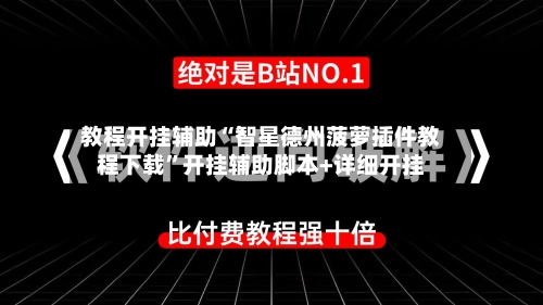 教程开挂辅助“智星德州菠萝插件教程下载	”开挂辅助脚本+详细开挂-第2张图片