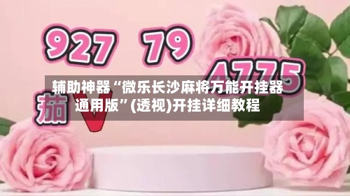 辅助神器“微乐长沙麻将万能开挂器通用版”(透视)开挂详细教程-第2张图片