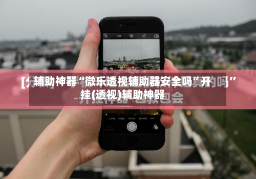 辅助神器“微乐透视辅助器安全吗”开挂(透视)辅助神器