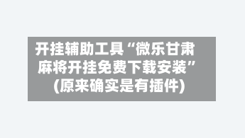 开挂辅助工具“微乐甘肃麻将开挂免费下载安装”(原来确实是有插件) 