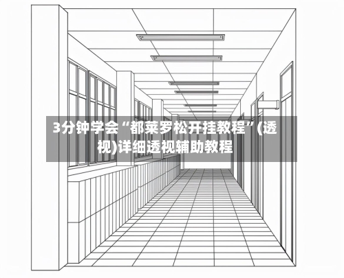 3分钟学会“都莱罗松开挂教程”(透视)详细透视辅助教程-第3张图片