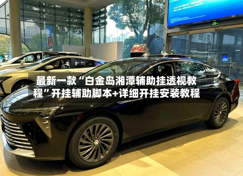 最新一款“白金岛湘潭辅助挂透视教程”开挂辅助脚本+详细开挂安装教程-第2张图片