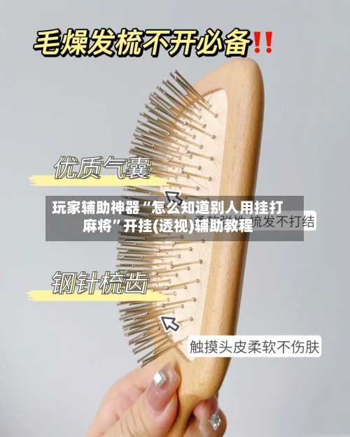 玩家辅助神器“怎么知道别人用挂打麻将”开挂(透视)辅助教程-第3张图片