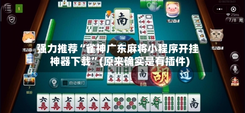 强力推荐“雀神广东麻将小程序开挂神器下载”(原来确实是有插件)