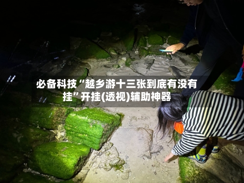 必备科技“越乡游十三张到底有没有挂”开挂(透视)辅助神器-第3张图片