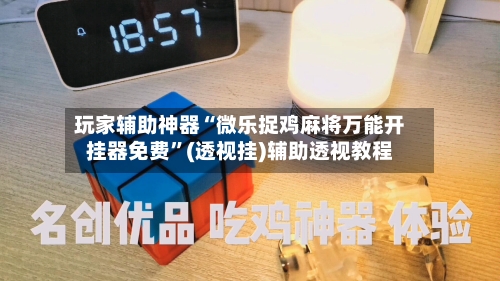 玩家辅助神器“微乐捉鸡麻将万能开挂器免费”(透视挂)辅助透视教程-第3张图片