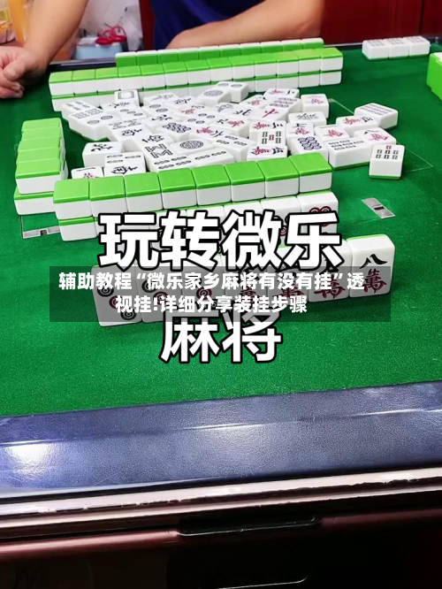 辅助教程“微乐家乡麻将有没有挂”透视挂!详细分享装挂步骤-第2张图片