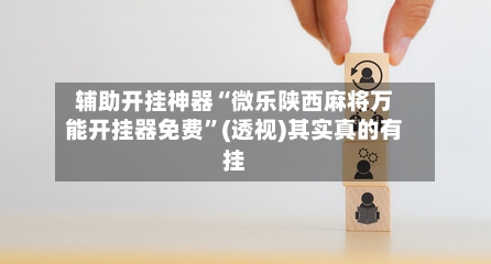 辅助开挂神器“微乐陕西麻将万能开挂器免费	”(透视)其实真的有挂-第3张图片