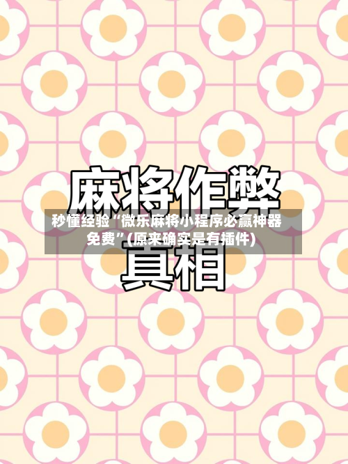 秒懂经验“微乐麻将小程序必赢神器免费”(原来确实是有插件)