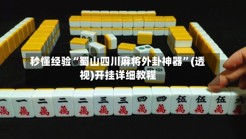 秒懂经验“蜀山四川麻将外卦神器”(透视)开挂详细教程-第3张图片