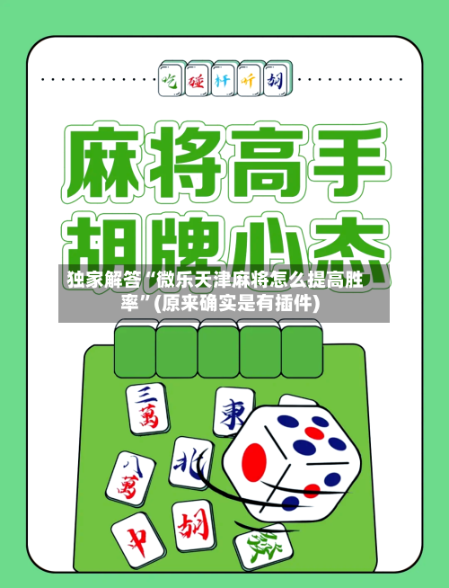 独家解答“微乐天津麻将怎么提高胜率”(原来确实是有插件)-第2张图片