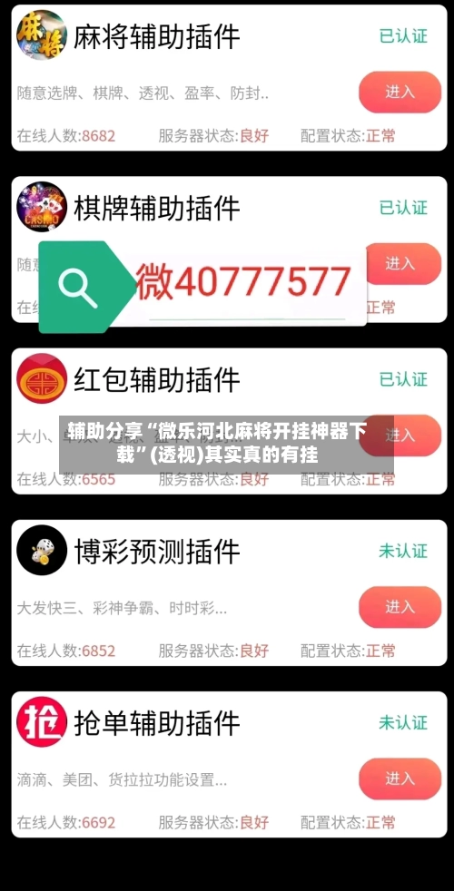 辅助分享“微乐河北麻将开挂神器下载”(透视)其实真的有挂-第3张图片