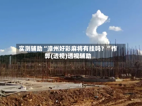 实测辅助“漳州好彩麻将有挂吗？	”作弊(透视)透视辅助-第2张图片