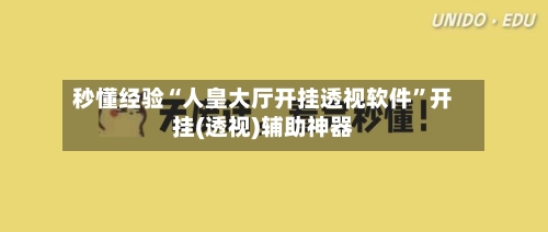 秒懂经验“人皇大厅开挂透视软件”开挂(透视)辅助神器-第2张图片