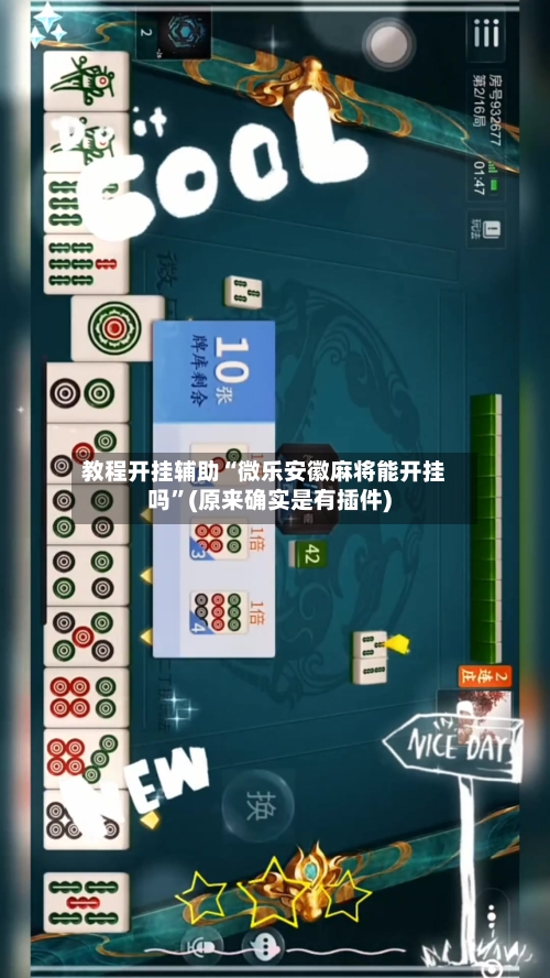 教程开挂辅助“微乐安徽麻将能开挂吗	”(原来确实是有插件) -第3张图片