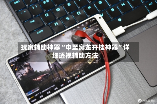 玩家辅助神器“中至窝龙开挂神器”详细透视辅助方法