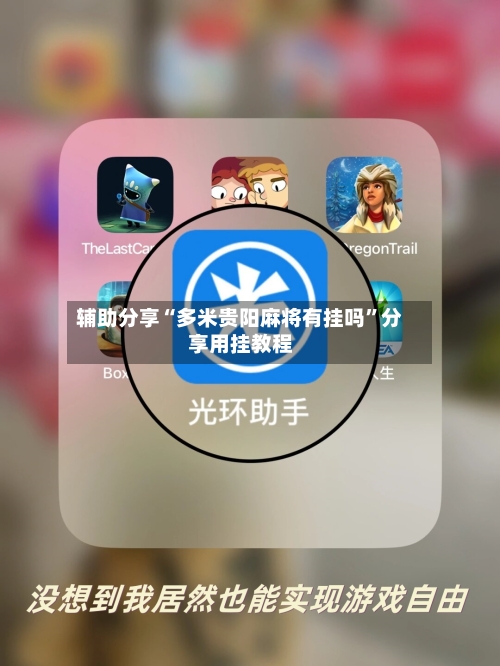 辅助分享“多米贵阳麻将有挂吗”分享用挂教程-第3张图片