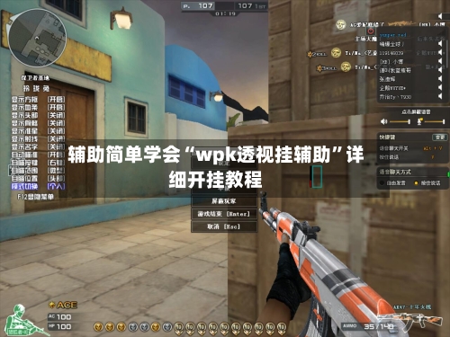 辅助简单学会“wpk透视挂辅助”详细开挂教程-第2张图片