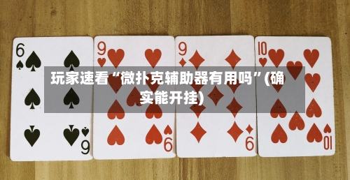 玩家速看“微扑克辅助器有用吗”(确实能开挂)-第2张图片